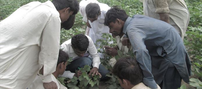 Building capacity and developing skills